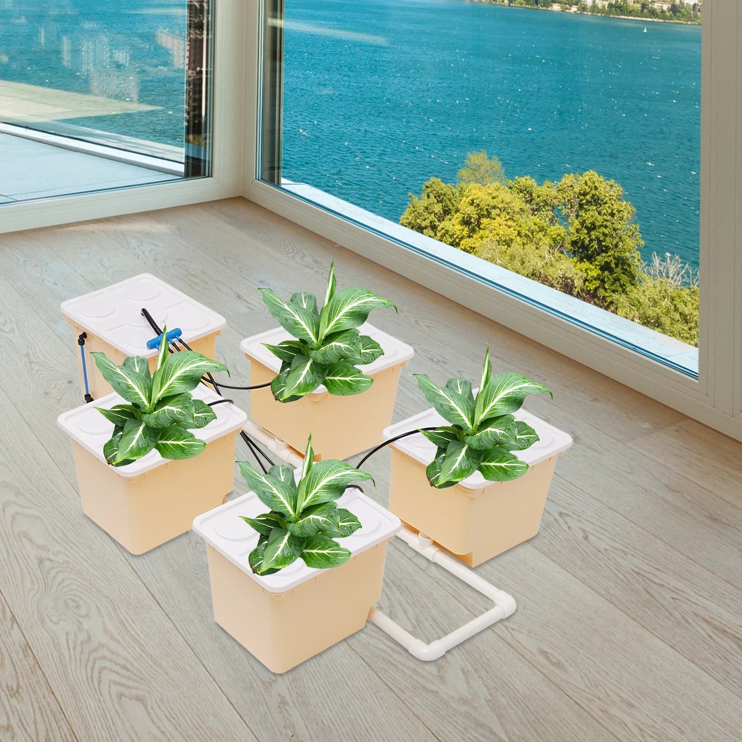 Hydroponic System 2.91 Gallon Deep Water Culture Hydroponics Growing System Kit Set with Pump