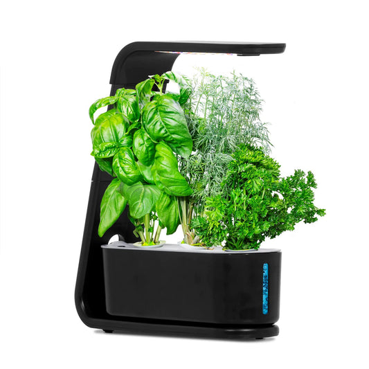 Automatic Timing Hydroponics Growing System