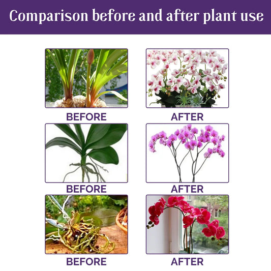 Orchid Liquid Flower Fertilizer