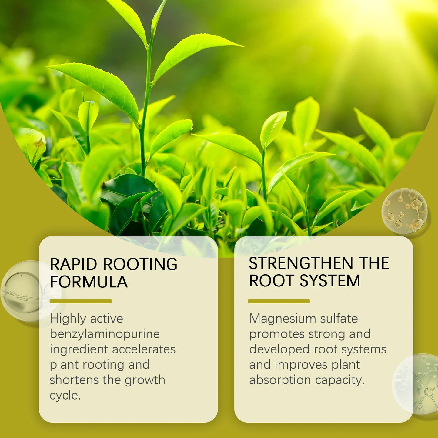 Plant Root Growth Nutrient
