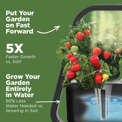Automatic Timing Hydroponics Growing System