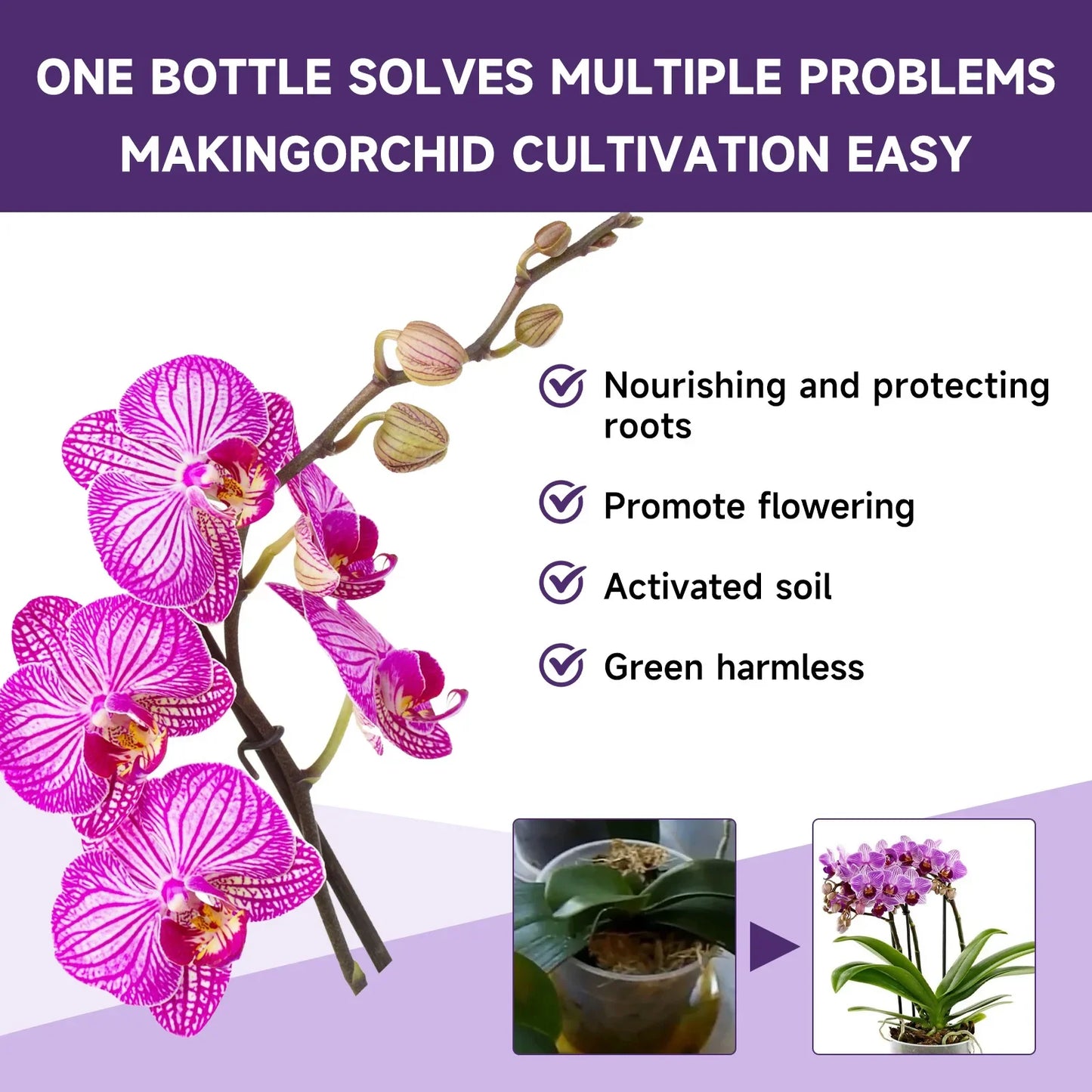 Orchid Liquid Flower Fertilizer