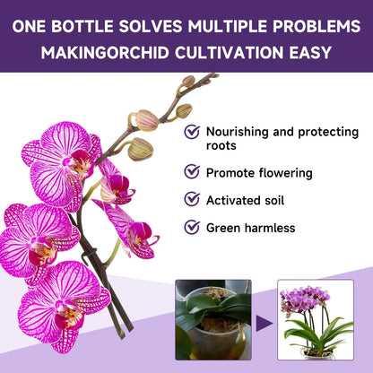 Orchid Liquid Flower Fertilizer