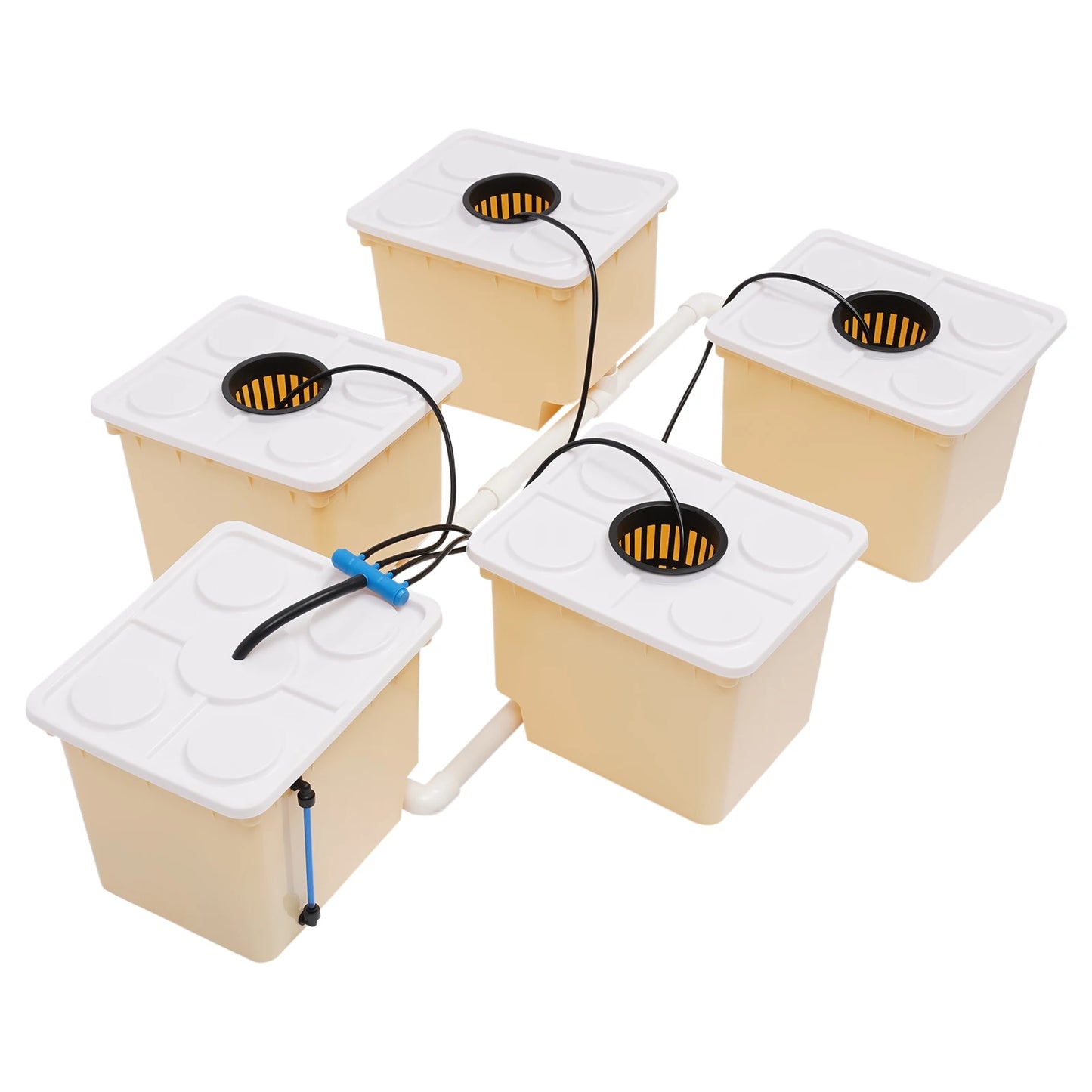 Hydroponic System 2.91 Gallon Deep Water Culture Hydroponics Growing System Kit Set with Pump