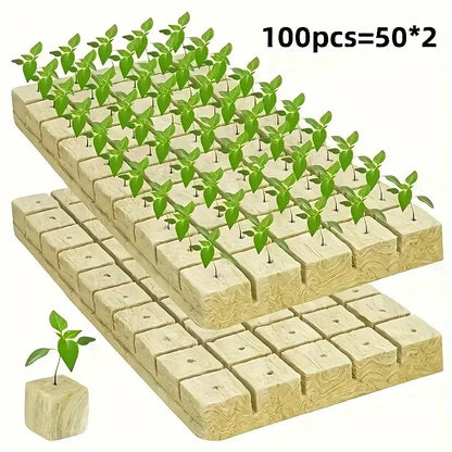 100/200/300 Green Seed Start Cube - Flexible, Textured Surface