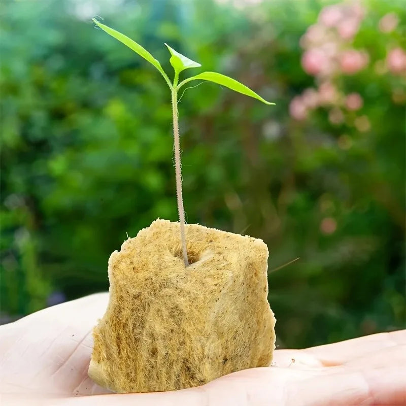 100/200/300 Green Seed Start Cube - Flexible, Textured Surface