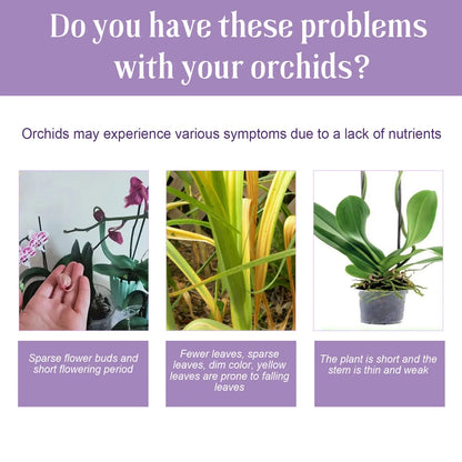 Orchid Liquid Flower Fertilizer