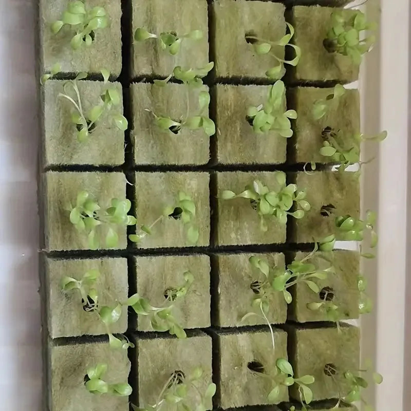 100/200/300 Green Seed Start Cube - Flexible, Textured Surface