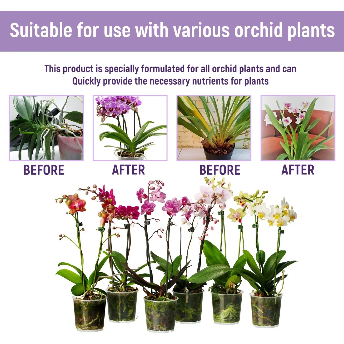 Orchid Liquid Flower Fertilizer
