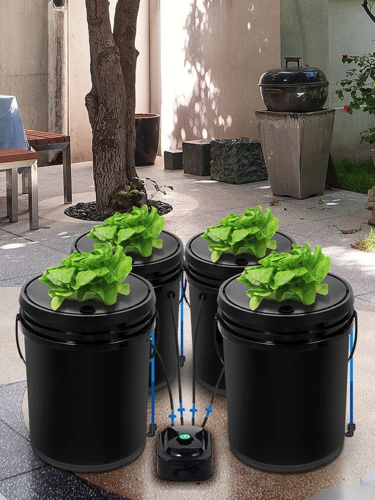 5 Gallon Hydroponics Deep Water Culture System