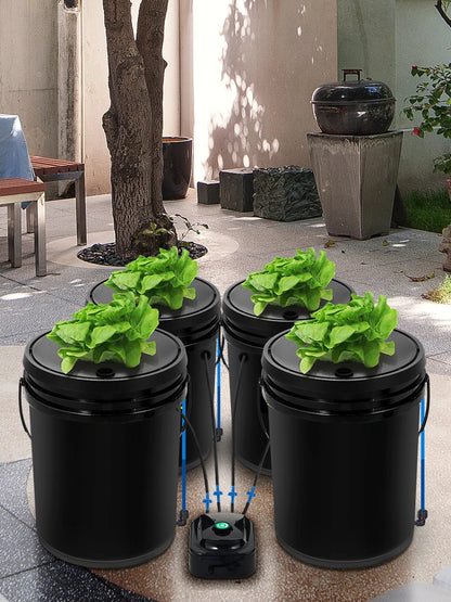 5 Gallon Hydroponics Deep Water Culture System