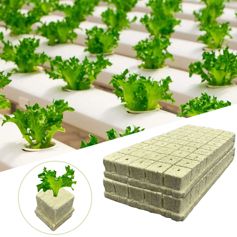 Hydroponics Seedling Grow Block Starter Plugs