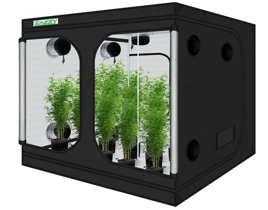 Hydroponic Indoor Grow Tent with Window