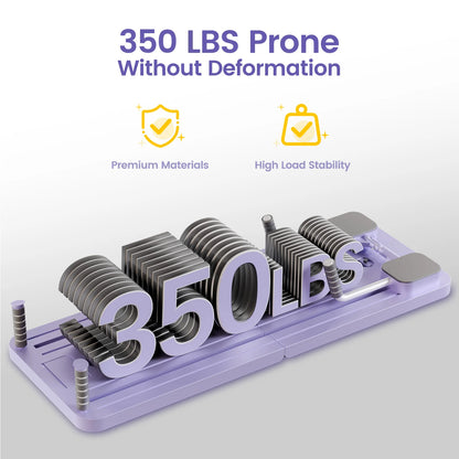 Ab Core Trainer Fitness Board
