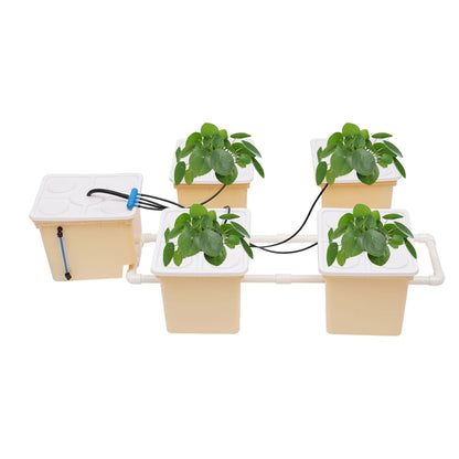 Hydroponic System 2.91 Gallon Deep Water Culture Hydroponics Growing System Kit Set with Pump